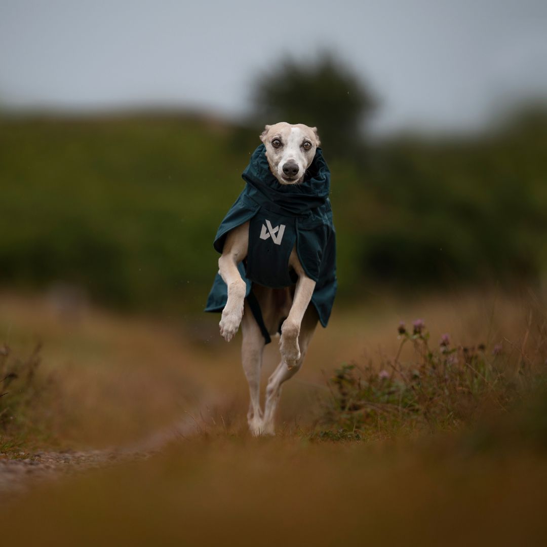 Fjord Lined Non-stop Dogwear